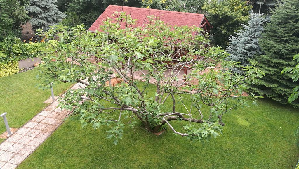 Fig Tree House Budapest Ngoại thất bức ảnh