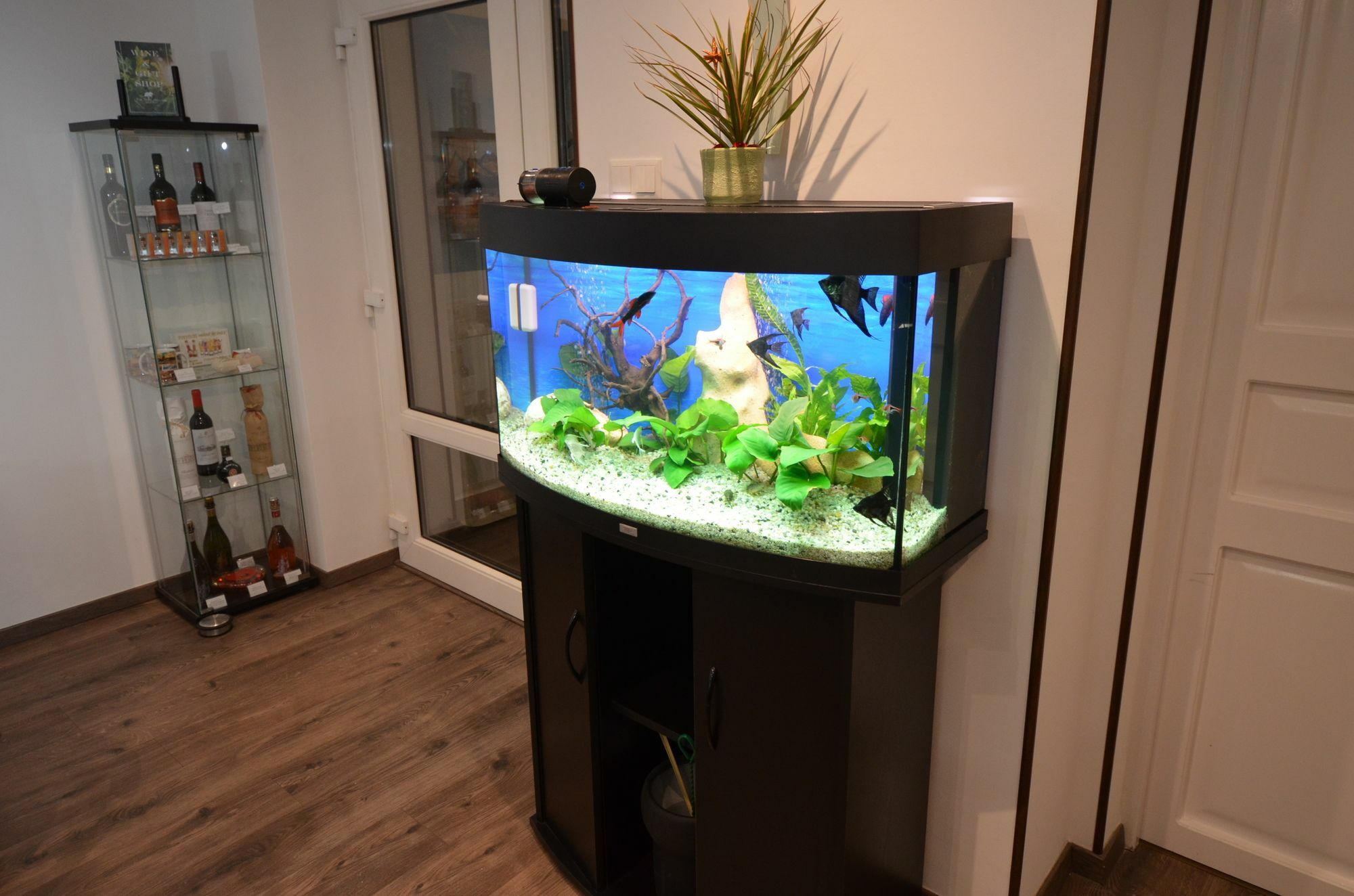 Fig Tree House Budapest Ngoại thất bức ảnh